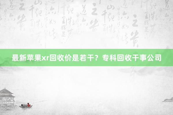 最新苹果xr回收价是若干？专科回收干事公司